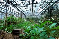 Gewächshaus in der Gartenbauschule in Frederiksoord