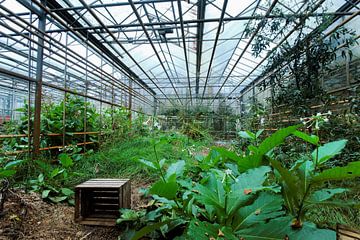 Kas van de tuinbouwschool in Frederiksoord van George van der Vliet