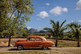 Oldtimer auf der Finca Tabacum, Viñales, Kuba von Inge van Veen