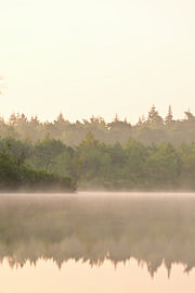 Morgennebel über dem Wasser von Vague & Form