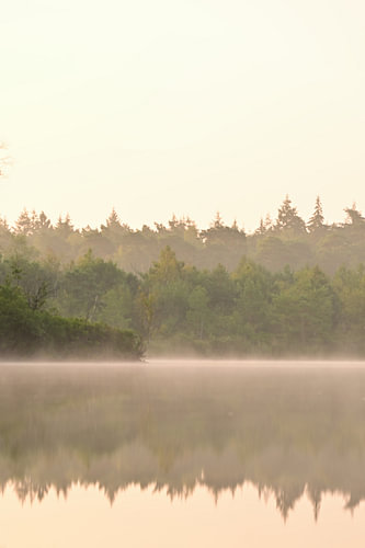 Morgennebel über dem Wasser
