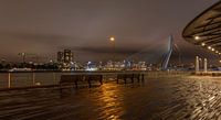 Wilhelmina quay, Kop van Zuid