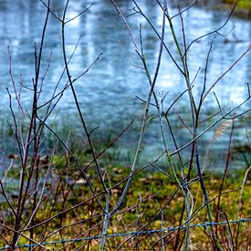 Beauté naturelle sur SO fotografie