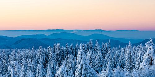 Schliffkopf in het Zwarte Woud