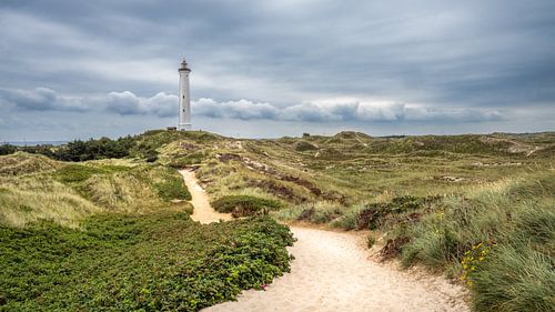 Lighthouse in the dunes