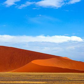 Zandduin Namibië van Astrid Brenninkmeijer