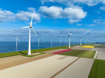 Tulpen in landbouwvelden met windturbines