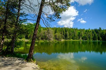 Reflecties in de Moserer See