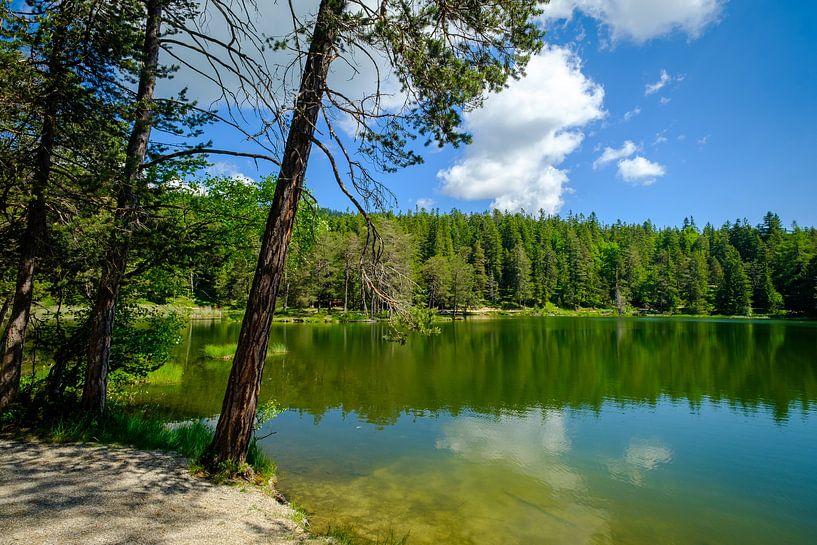 Reflexionen im Moserer See von Ineke Huizing
