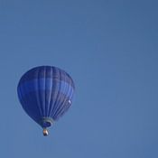 annelies wynant Profile picture