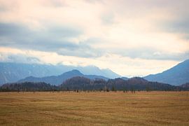 Murnauer Moos by Basti´s Pix und Raus