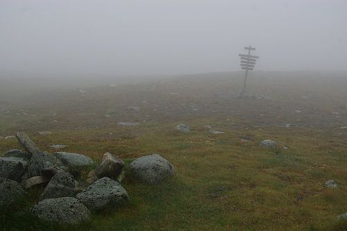 Hardangervidda, NOORWEGEN van Rudi Campschroer