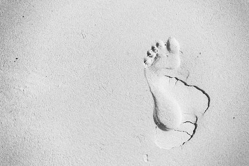 Beach : Suivez votre propre chemin