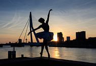 Dans bij zonsondergang in Rotterdam van Eddie Meijer thumbnail