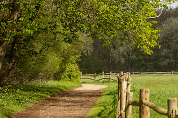 Sentier de détente au printemps