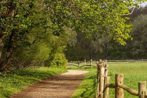 A peaceful walk in spring