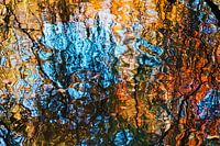 Abstract water