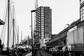 Des Batiments qui chantent