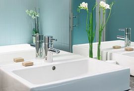 Edele wastafel van Frank Herrmann