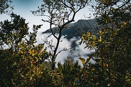 View from the PR13 route on Madeira, Madeira
