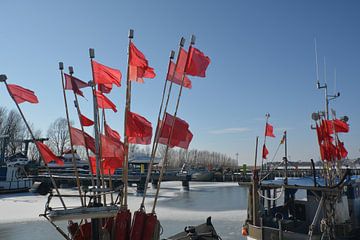 rote Fahnen auf dem Fischerboot, Hafen Thiessow