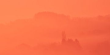 Kleurspeling een vleugje oranje van Geert Perdaens