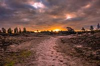 Magnifique lever de soleil avec un ciel sombre