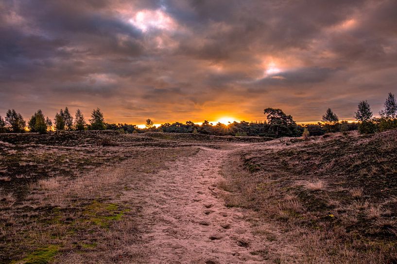 Magnifique lever de soleil avec un ciel sombre par Rick van de Kraats