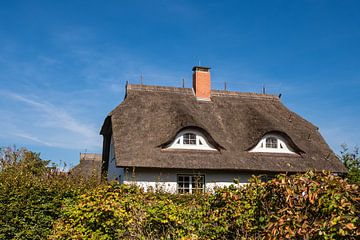 Thatched house with blue sky in Ahrenshoop van Rico Ködder