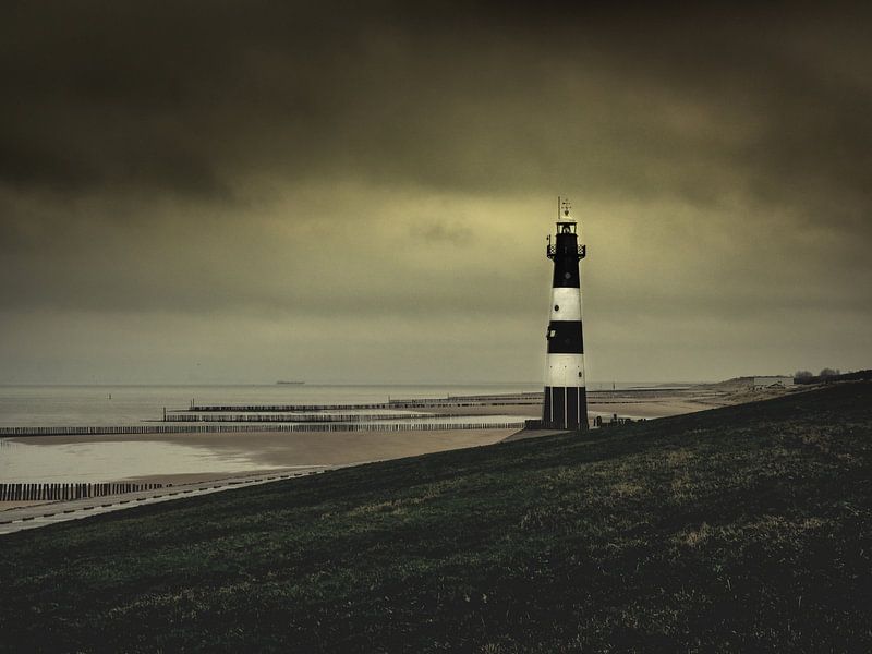 Suis-moi, je te montrerai le chemin.... par Marianne Dirix