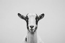 Goat in black and white by Poster Art Shop