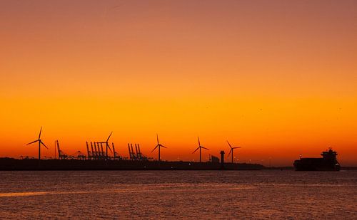 Zonsondergang Maasvlakte Rotterdam