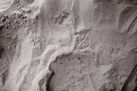 Beach Sand by Albert Hartwig