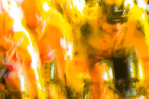 Team Jumbo-Visma regiert den Radsport