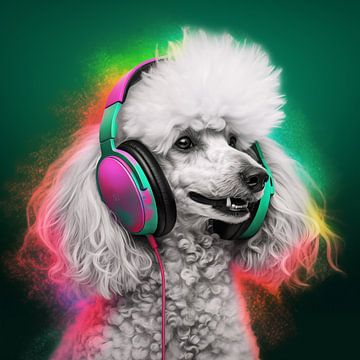 DJ Poedel van Andreas Magnusson