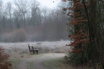 cold bench by Tania Perneel