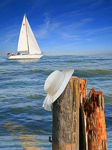 Zeilen op de kust