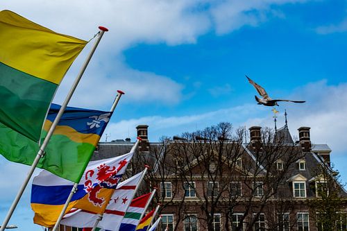 Vrijheid na Lockdown