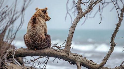 Een berendroom bij de stormachtige zee