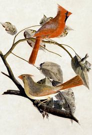 Retro Vogel Landschaft von Mad Dog Art