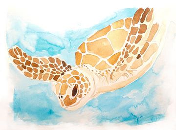 Zeeschildpad van beangrphx Illustration and paintings