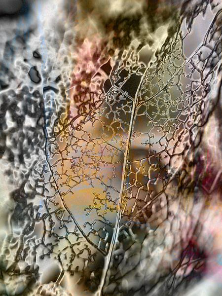 die Natur zeichnet Linien von Claudia Gründler