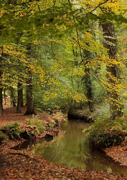 The Mill Creek by Frank Smedts