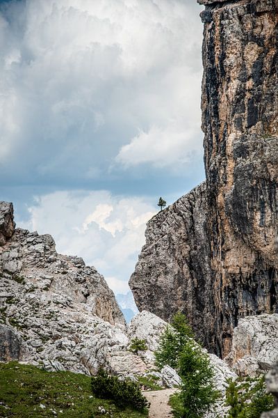 The little one on the rock by Guy Lambrechts Photography