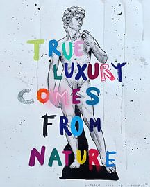 Wahrer Luxus kommt aus der Natur von Jis Bar