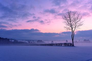 Nebliges Landschaftsfoto Bütchenbach von Arne Pyferoen