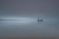 Foggy !