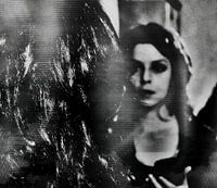shadows (behind)