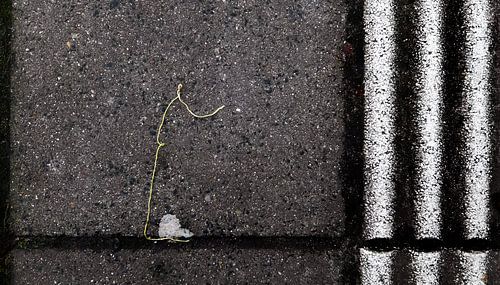 La Linea klingelt an der Tür.