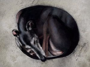 All curled up